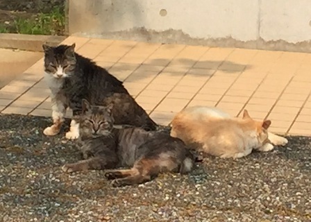 2015-04-16 13.45.28.jpg