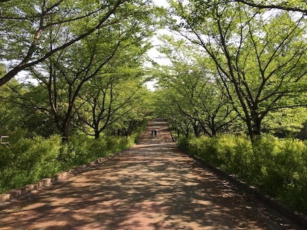 2018-04-21 15.07.19.jpg