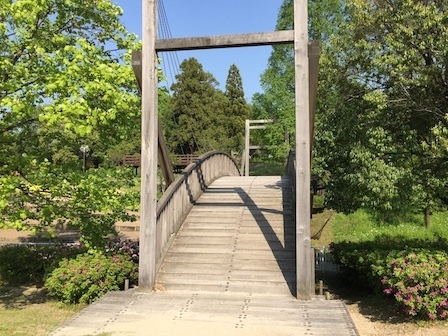 2018-04-21 15.13.23.jpg