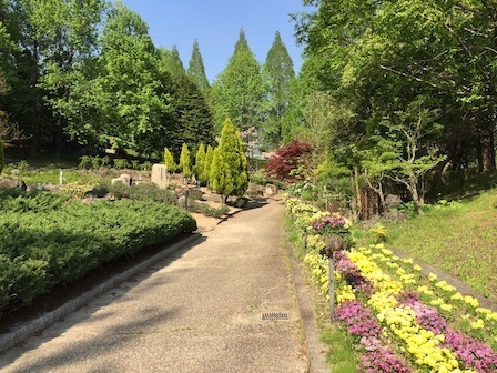 2018-04-21 15.17.57.jpg