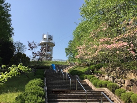 2018-04-21 15.18.37.jpg