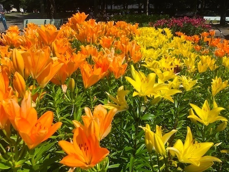 2018-06-09 14.53.04.jpg