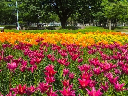2018-06-09 14.53.22.jpg