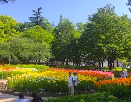 2018-06-09 14.54.38.jpg