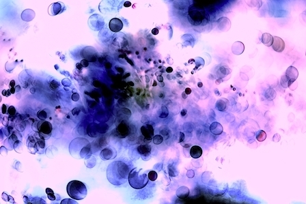 26f6e9af29a08e53094e54105733b6fd_m.jpg