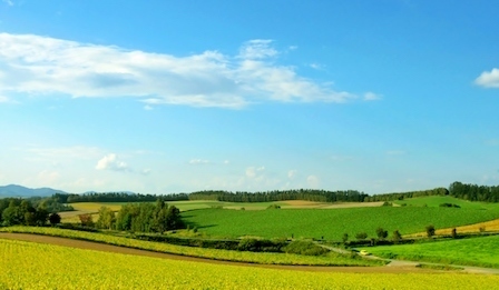 71544.jpg