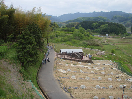 asukamichi.jpg
