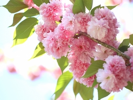 d1ca2c91de265ca57067a68b1a2afb30_m.jpg