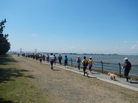 hanami2012_008.jpg