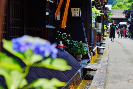 takayama0001.jpg