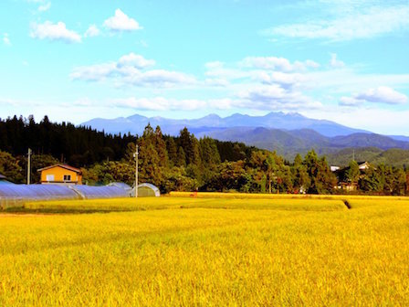 takayamasato4.jpg