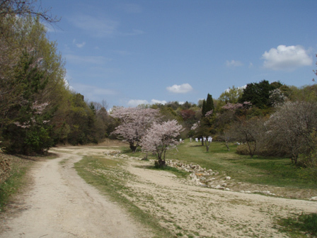 tetsukazu-79000.jpg