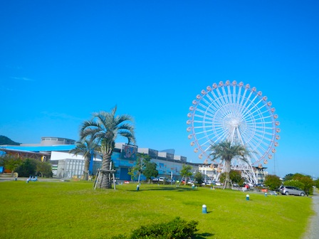 waiwai01.JPG