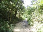 idakasingke2.jpg
