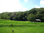 idakatanada-tiltshift.jpg