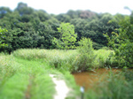 iketomichi-tiltshift.jpg
