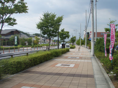 takenoyama013.jpg