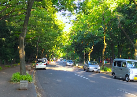 名城公園の路駐可能エリアは 魔の3時間 に注意 名古屋ランニングジャーナル