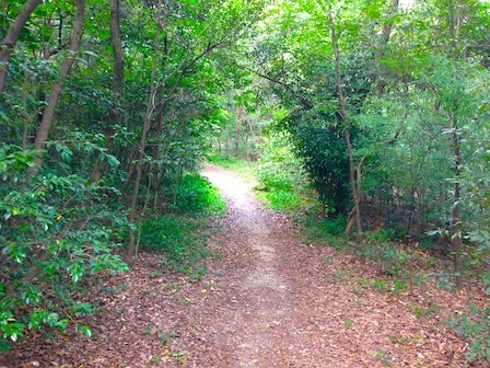 2013-08-042014.57.20.jpg