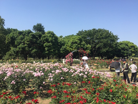 2017-05-20 14.53.54.jpg