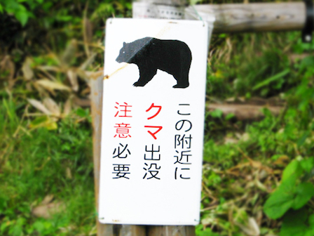 前年の5倍に激増 愛知県のツキノワグマ目撃情報最新版 令和元年 名古屋ランニングジャーナル