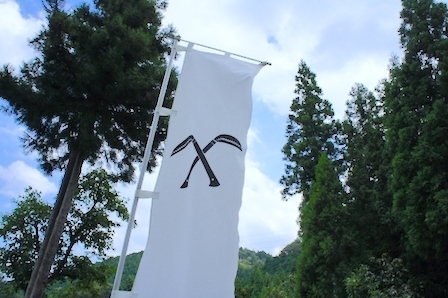 517635_s.jpg
