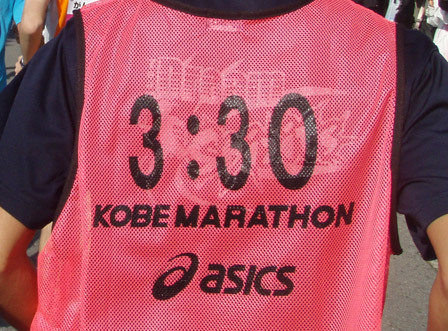 6515616.jpg