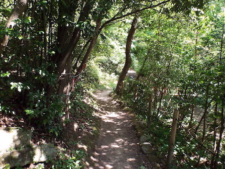 DSCF3780.JPG