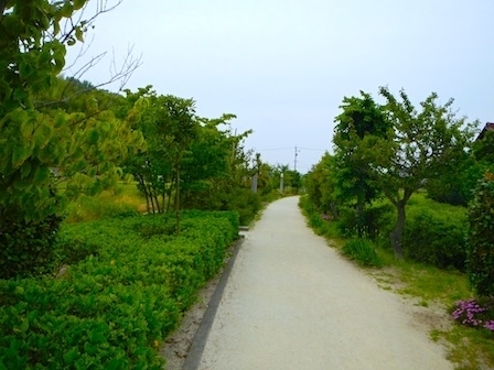 DSCN0663.JPG
