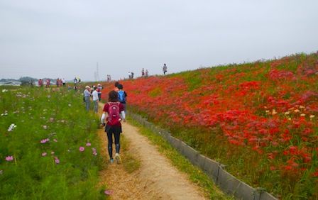 DSCN2186.JPG