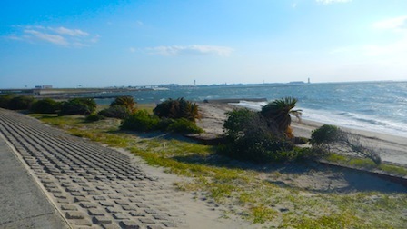 DSCN2373.JPG