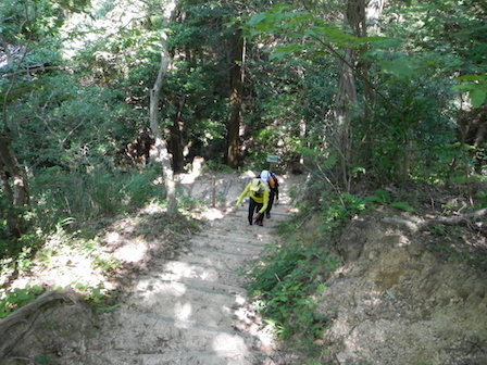 DSCN8473.JPG