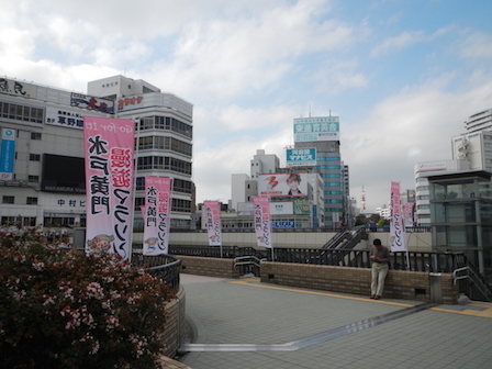 DSCN8591.JPG