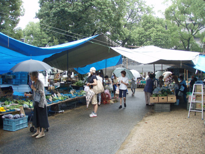 asaichi001.jpg