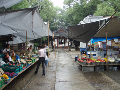 asaichi002.jpg