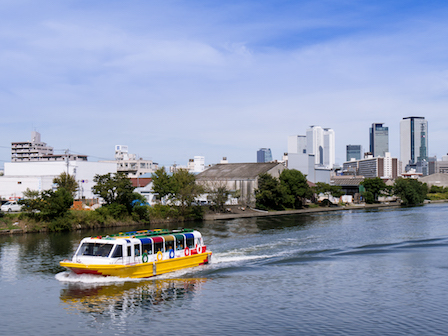 cruise001.jpg