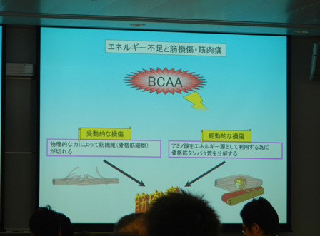 gakkai08.jpg