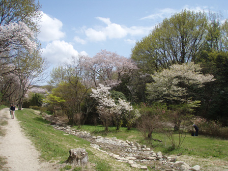 hana001.jpg