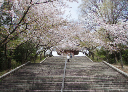 hana004.jpg
