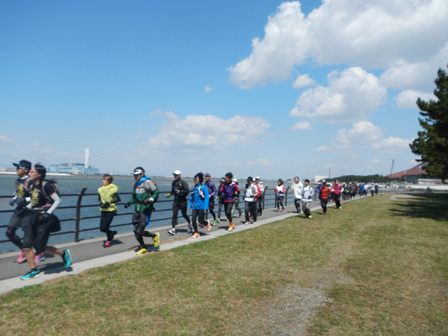 hanami2012_001.jpg