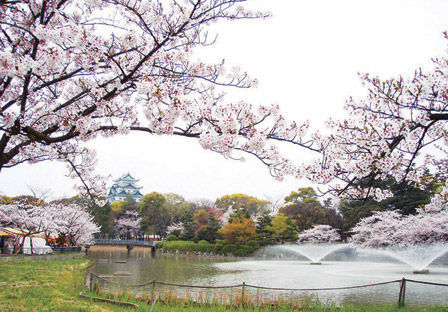 hanami_hyoushi.jpg