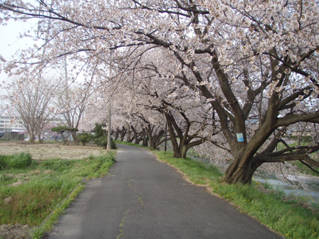 hanamirun006.jpg