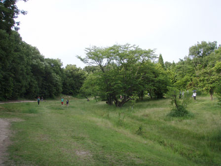 higashiyama002.jpg