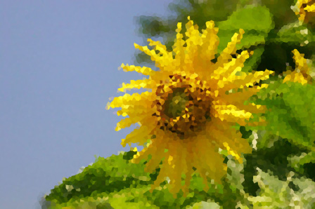himawari001.jpg