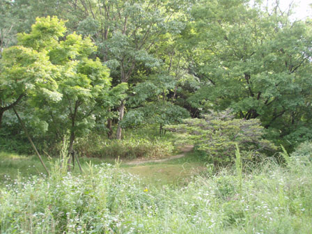 ihgashiyama004.jpg