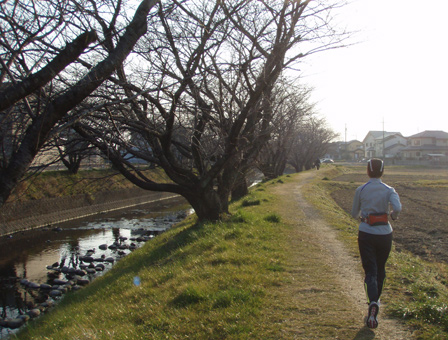 iwakura002.jpg