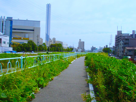 kanare005.jpg