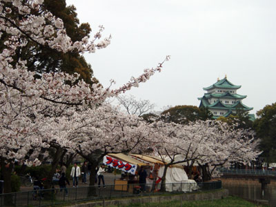 meijou_shiro001.jpg