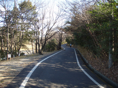miyoshiike_road01.jpg