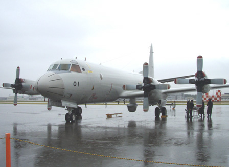 p3c.jpg
